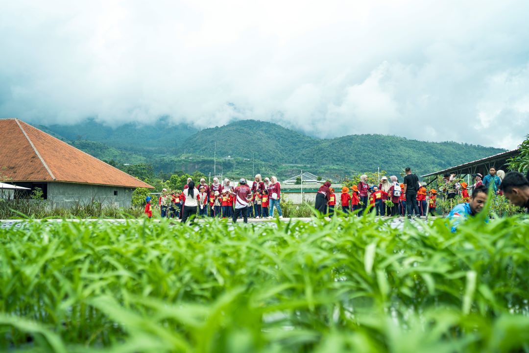 Agro Wisata