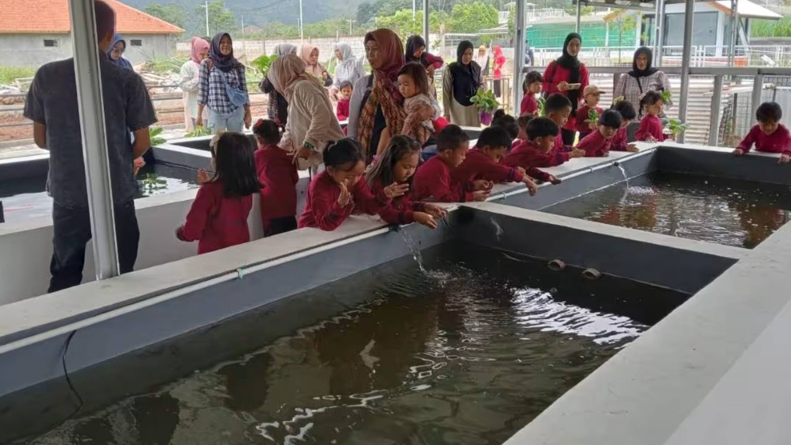 Wisata edukasi di Tampomas Eco Park