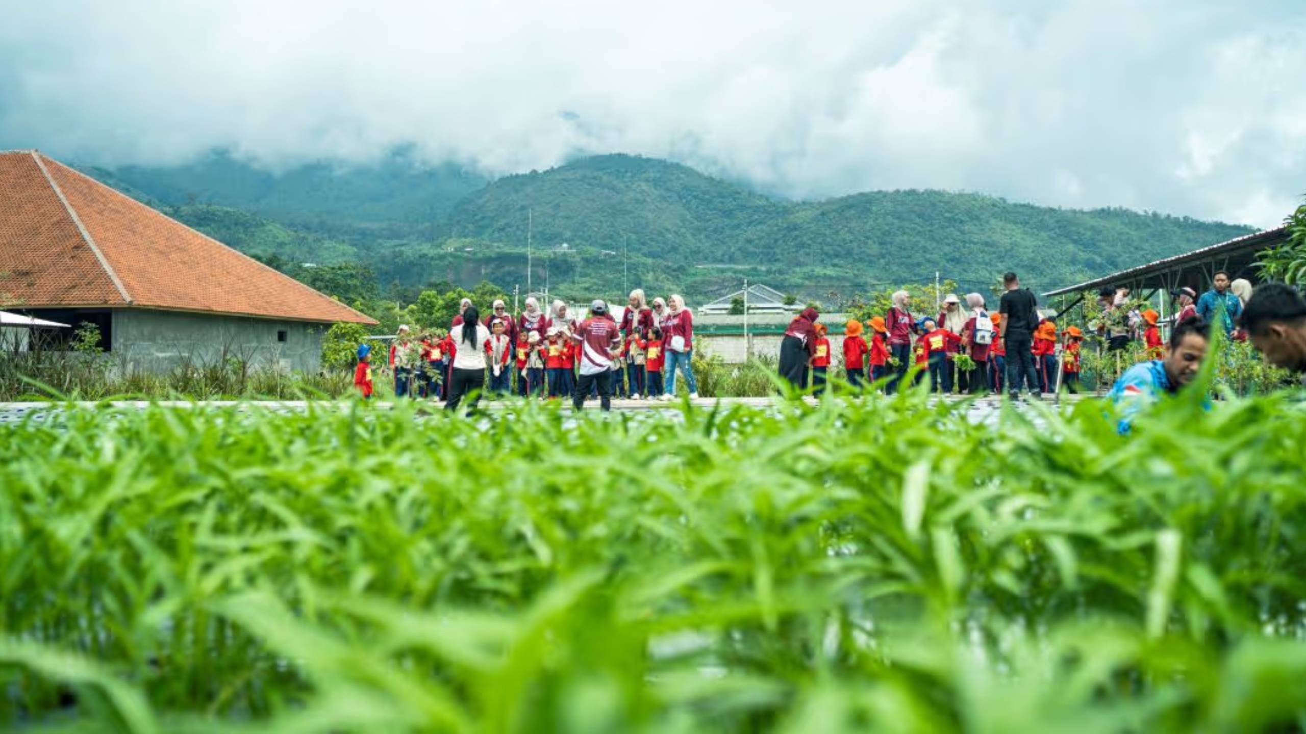 Edukasi Lingkungan untuk Anak: Kenapa Tanam Pohon di Alam Itu Penting